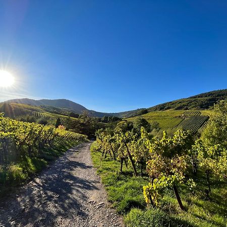 Chambre Du Vigneron - Domaine Leon Bleesz Reichsfeld Экстерьер фото