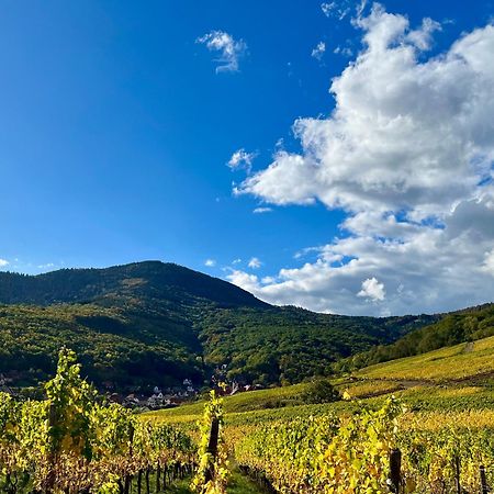 Chambre Du Vigneron - Domaine Leon Bleesz Reichsfeld Экстерьер фото