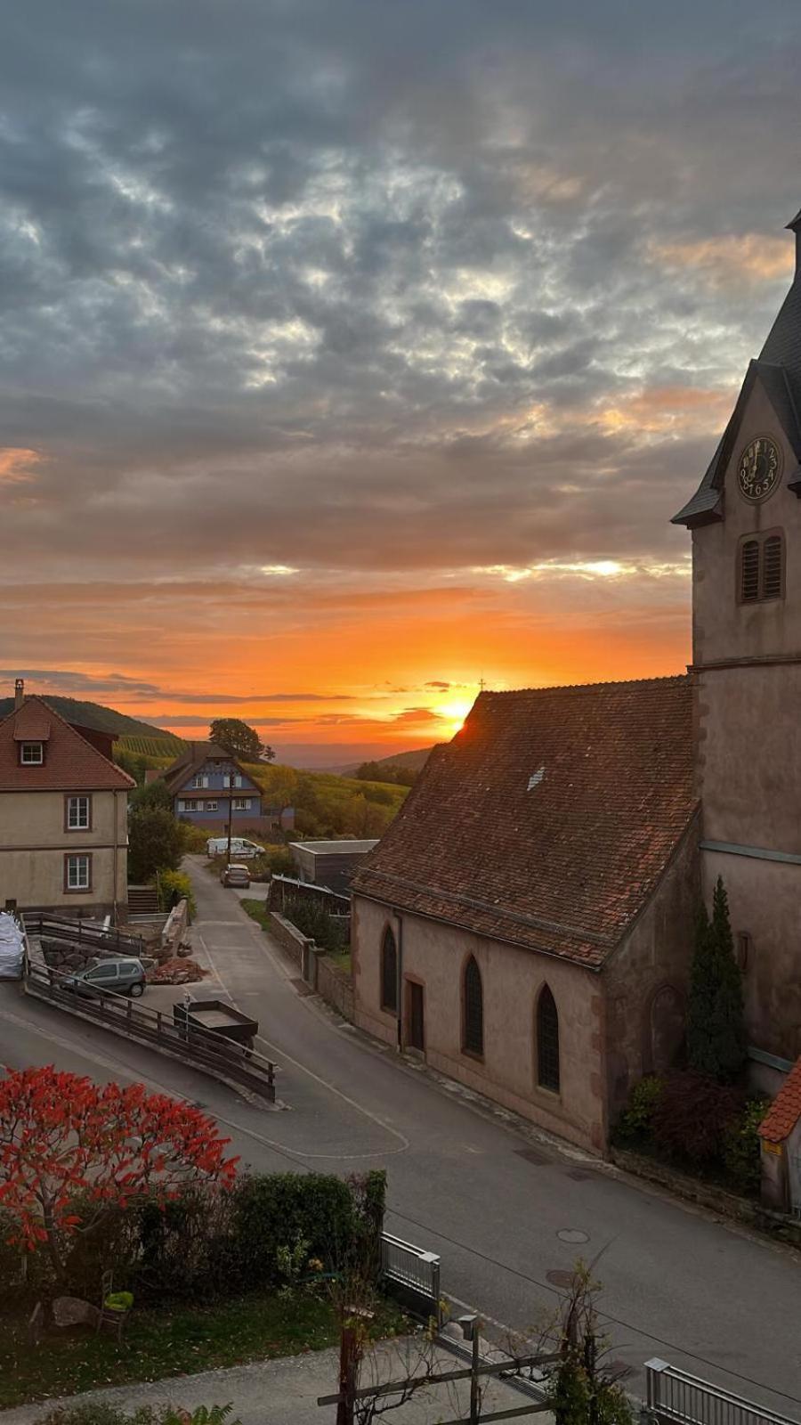 Chambre Du Vigneron - Domaine Leon Bleesz Reichsfeld Экстерьер фото
